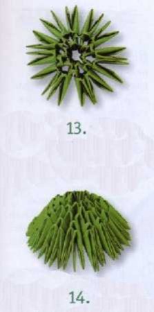 "Кактус  с оранжевыми цветами"