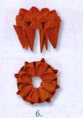 "Кактус  с оранжевыми цветами"