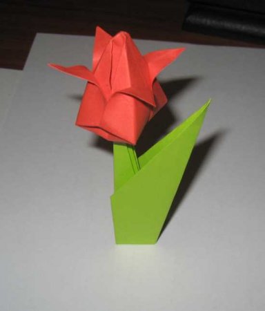 Оригами: "Тюльпан"