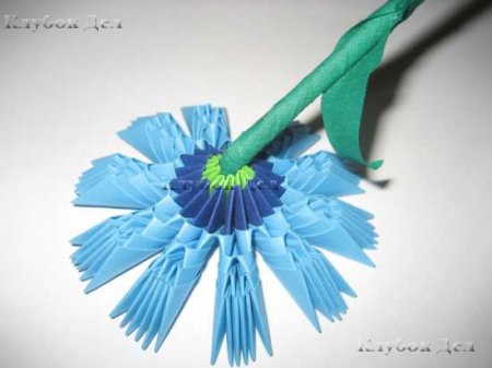 Модульное оригами: "Васильки"