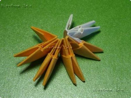 Модульное оригами "Белки"