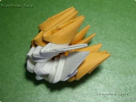 Модульное оригами "Белки"