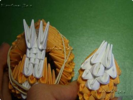 Модульное оригами "Белки"