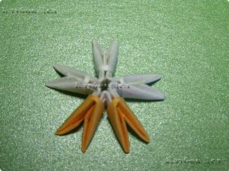 Модульное оригами "Белки"