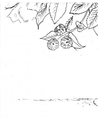 Картина "Роскошный букет"