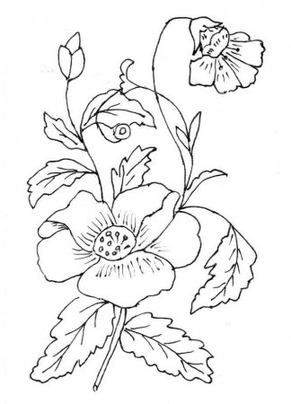 Вышивка гладью "Солнечная фуксия"