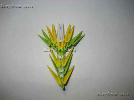 Модульное оригами "Пава"