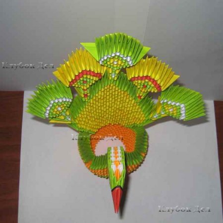 Модульное оригами "Пава"