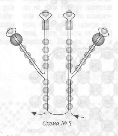 Колье «Рябина и шиповник»