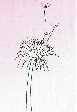 Вышивка гладью «Полет одуванчика»