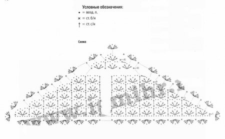 Ажурный бактус