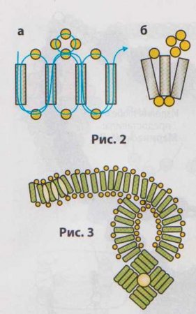 Колье «Царевна»