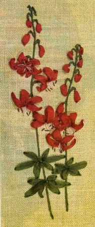 Вышивка лентами «Саранки»