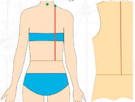 Дст2 — длина спины до талии